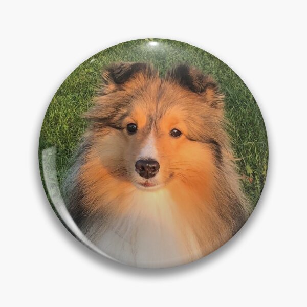 Item preview, MY  AMAZING SHELTIE designed and sold by RokOpara.