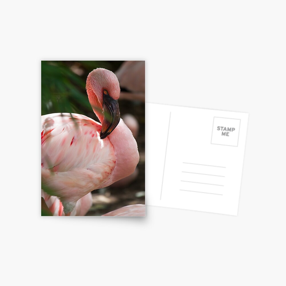 Item preview, Postcard designed and sold by Semapemodiba.
