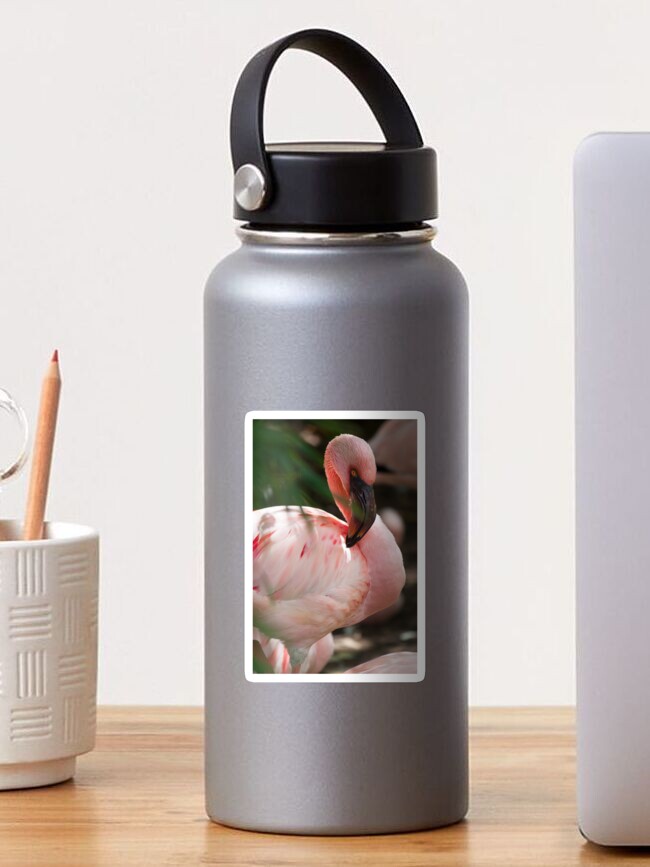 Thumbnail 1 of 3, Sticker, Flamingo designed and sold by Semapemodiba.