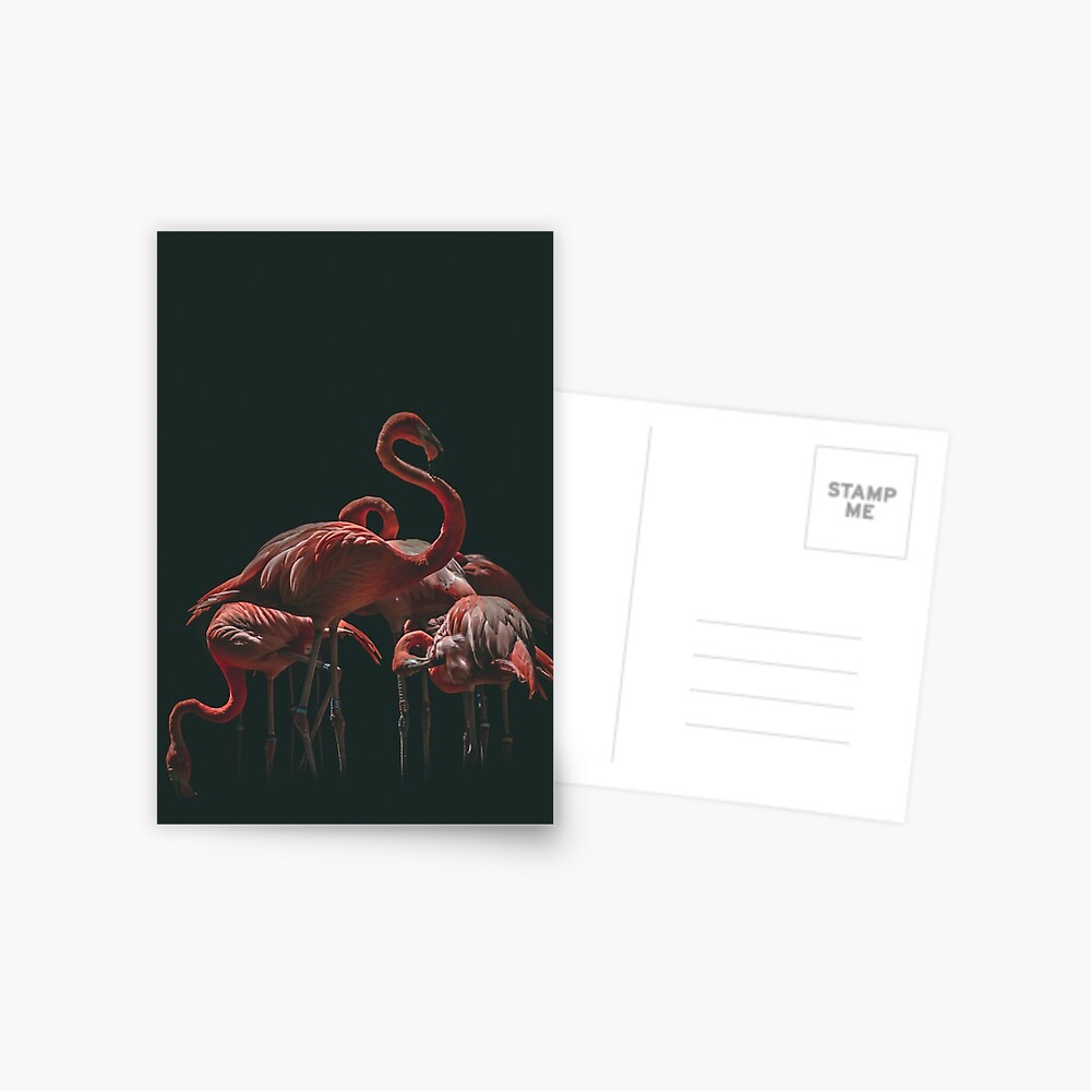 Item preview, Postcard designed and sold by Semapemodiba.