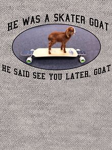 goat hoodie tillys