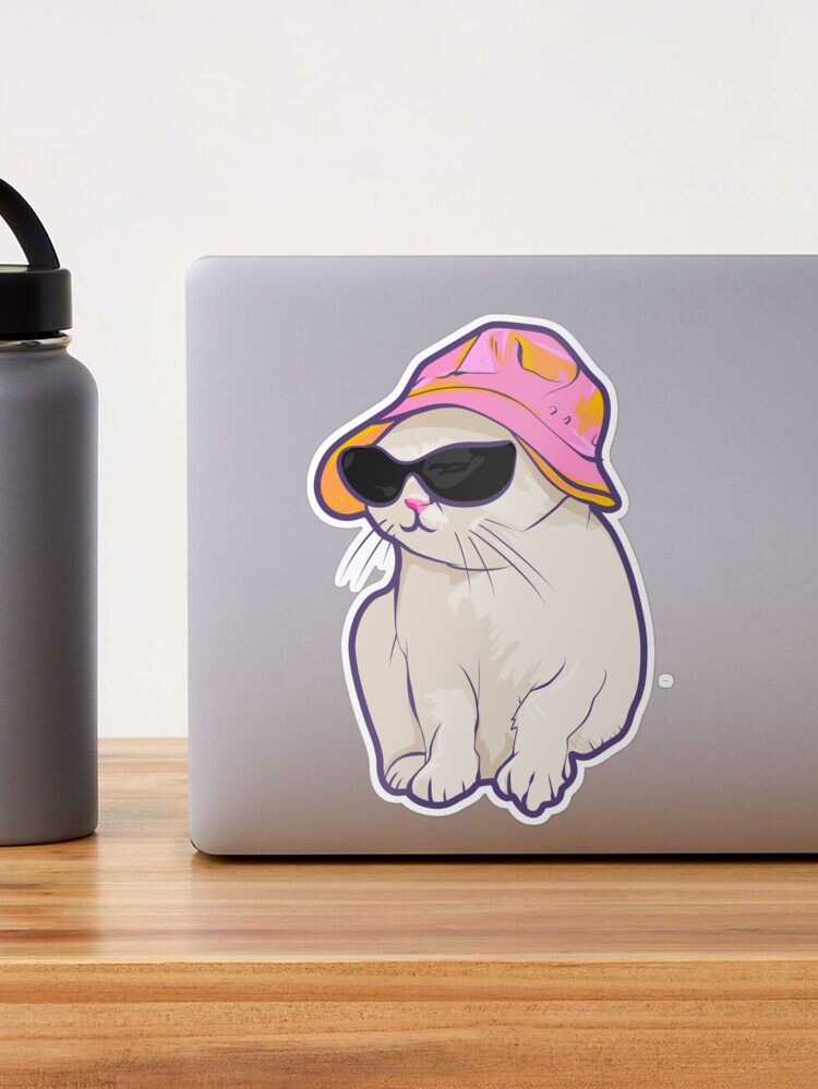 Cat wearing a bucket hat and glasses Sticker for Sale by