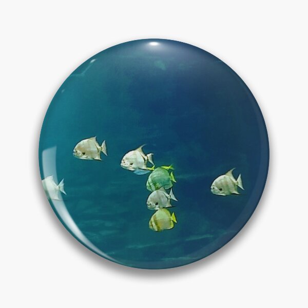 Item preview, Acuario designed and sold by Marcela872020.