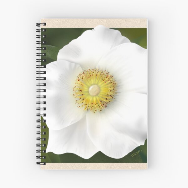 Item preview, Rosa Laevigata designed and sold by DesertG.