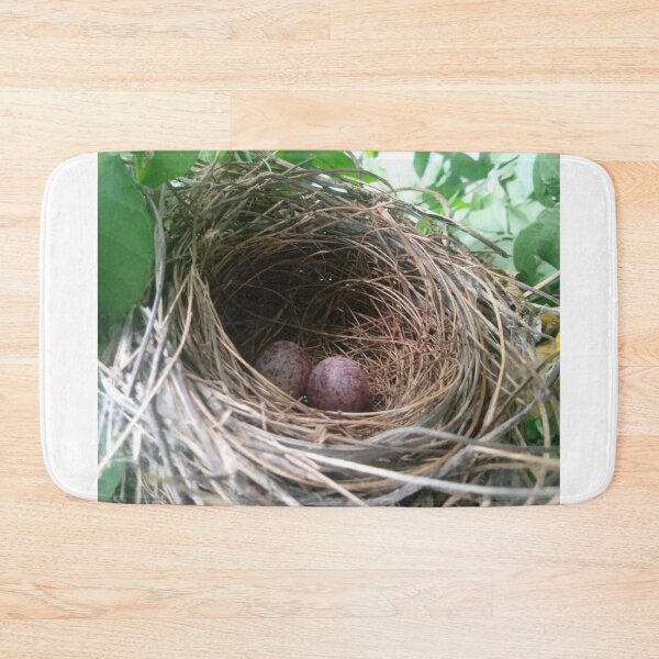 Item preview, Two Eggs Inside Birds Nest designed and sold by Luxxe87.