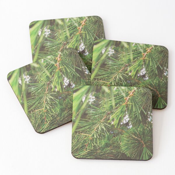 Item preview, Pine designed and sold by Sagrapho.