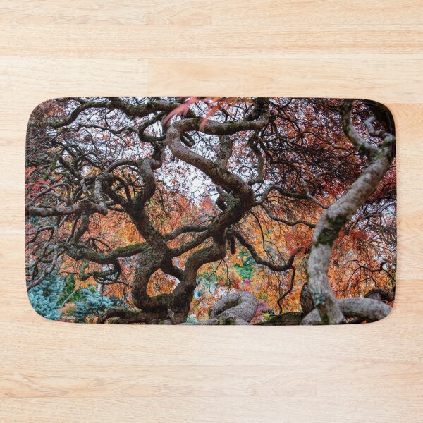 Item preview, Japanese Maple, Olinda, Dandenong Ranges, Victoria, Australia designed and sold by Vicki Walsh.