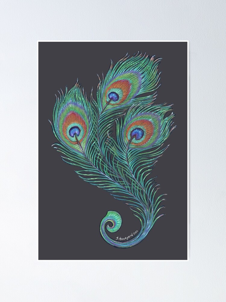 Peacock feather | Posters, Art Prints, Wall Murals | +250 000 motifs