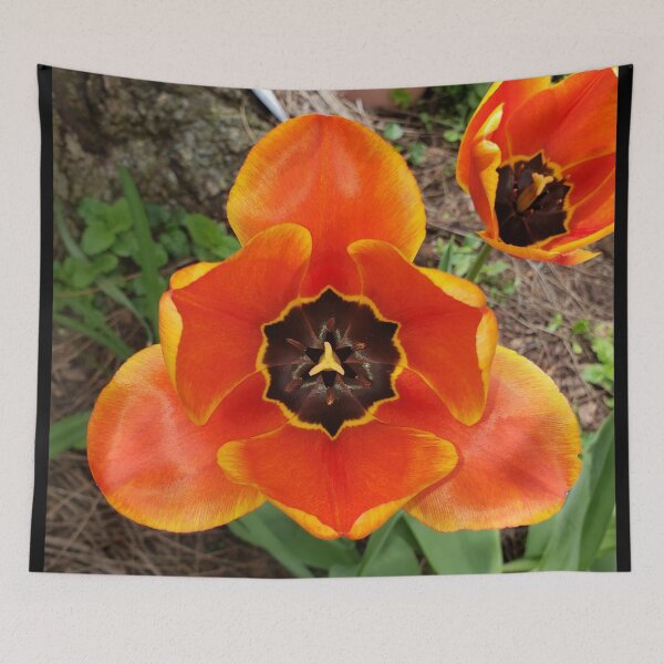 Item preview, Orange Tulip designed and sold by GrudleBay.