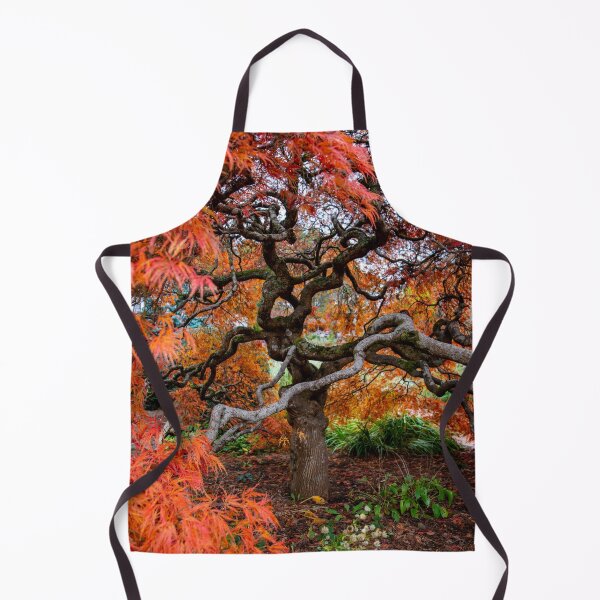 Item preview, Japanese  Maple, Olinda, Dandenong Ranges, Victoria, Australia designed and sold by Vicki Walsh.