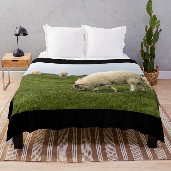 Item preview, Sheep graze on the meadows of the Irish Dingle Peninsula designed and sold by AlbertMi.