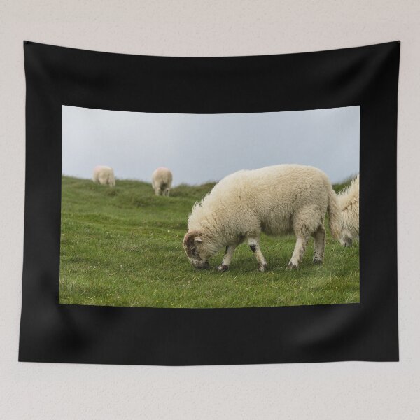 Item preview, Sheep graze on the meadows of the Irish Dingle Peninsula designed and sold by AlbertMi.