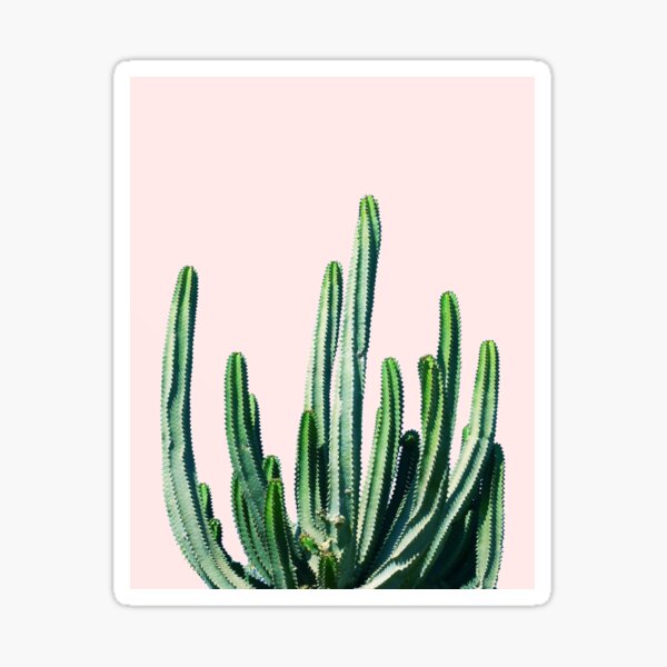 Cactus V6 #redbubble #lifestyle Sticker