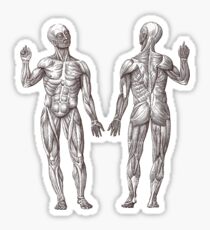Muscle Men Fitness Addict Sticker