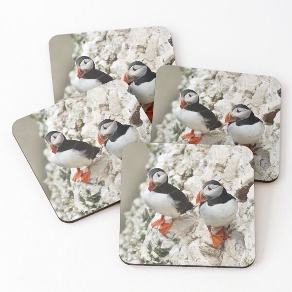 Item preview, Puffin pair on cliffside designed and sold by ClaireChown.