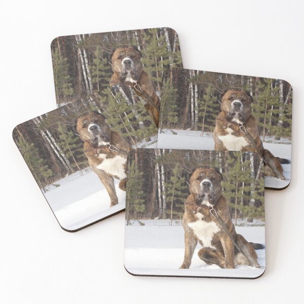 Item preview, Strong central Asian shepherd dog is for your safety designed and sold by Siberian-me.
