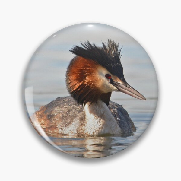 Item preview, Great Crested Grebe designed and sold by ClaireChown.