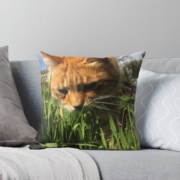 Item preview, Ginger cat sniffing grass in garden designed and sold by turniptowers.