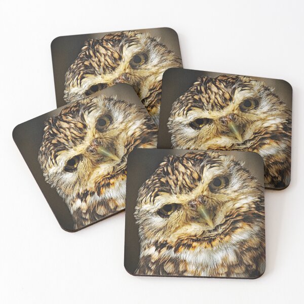 Item preview, Little Owl Portrait designed and sold by ClaireChown.