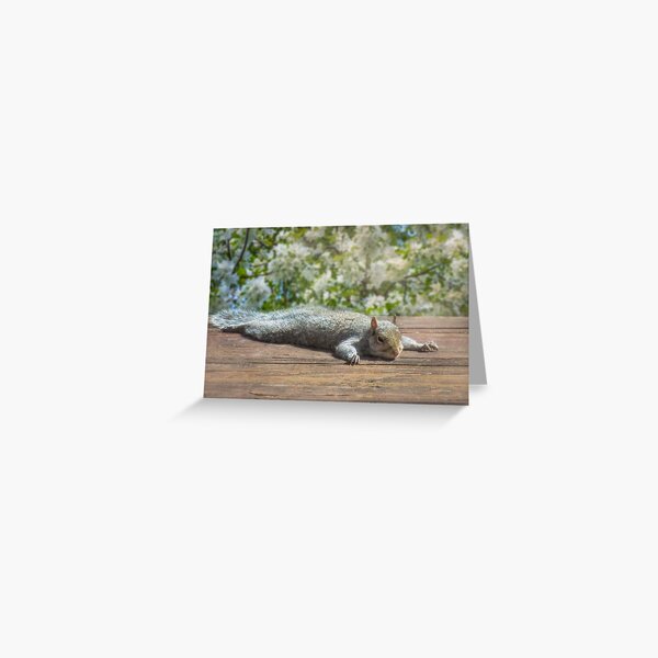 Relax this Spring! Greeting Card