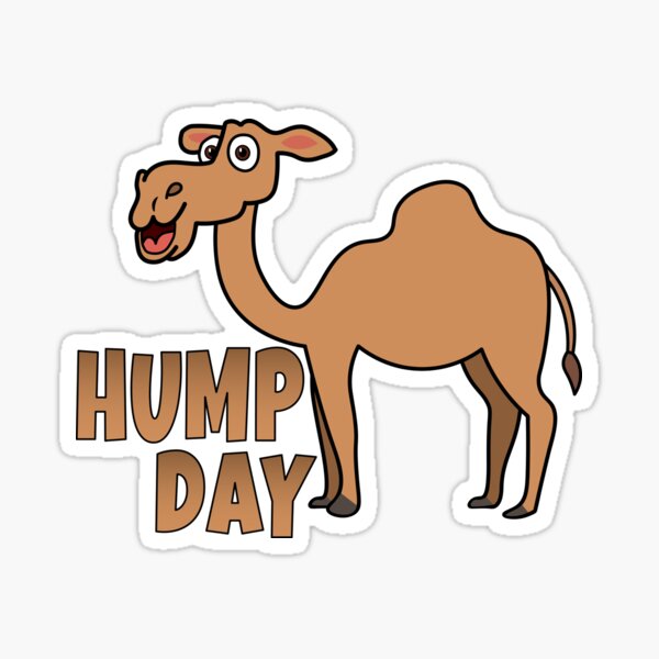 Hump Day Cartoon Camel' Sticker