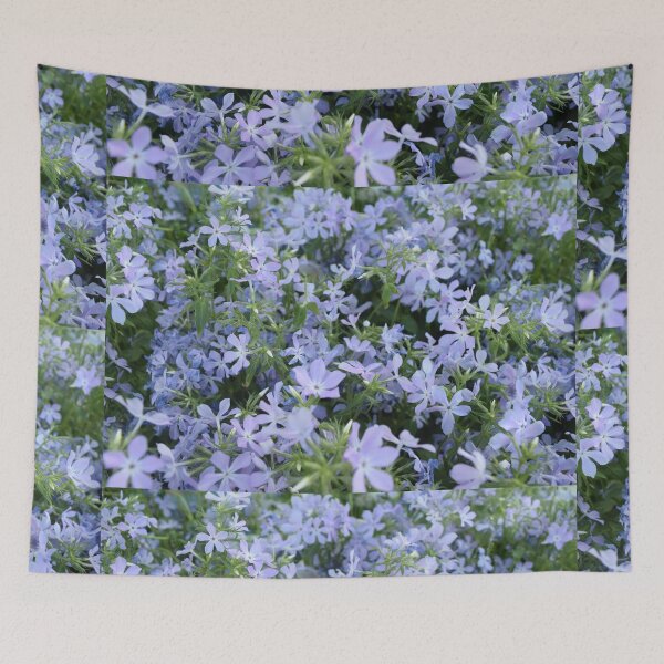 Item preview, Mountain Phlox, Spring Vibes, Beautiful Blue Blooms, Gardening designed and sold by 10pmCreations.