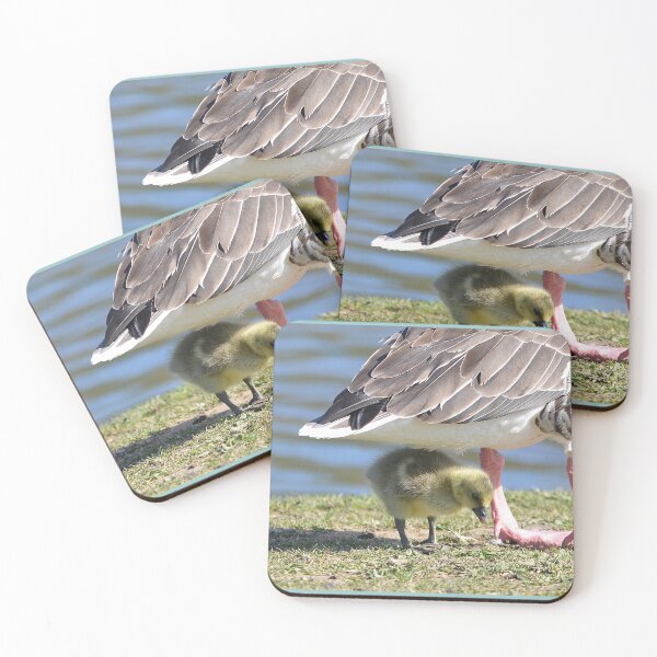 Item preview, Taking Shelter designed and sold by ClaireChown.