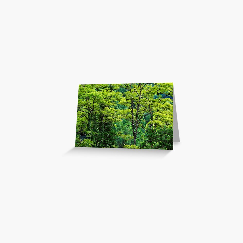 Item preview, Greeting Card designed and sold by patmo.