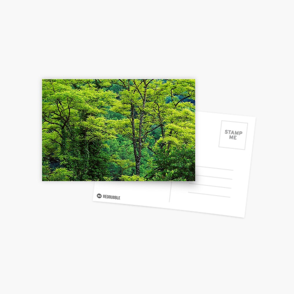 Item preview, Postcard designed and sold by patmo.