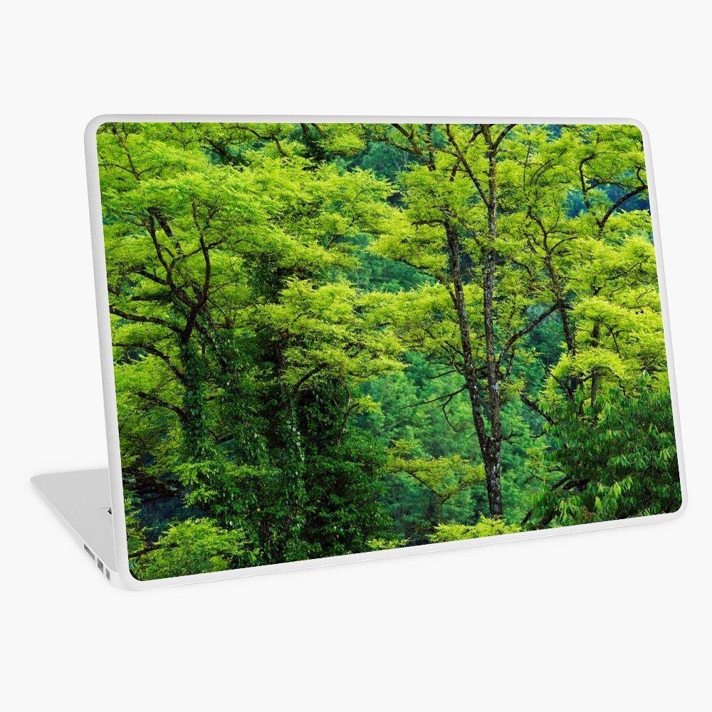 Item preview, Laptop Skin designed and sold by patmo.