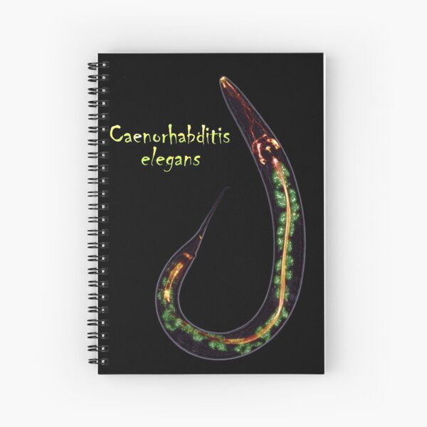 Caenorhabditis elegans Spiral Notebook