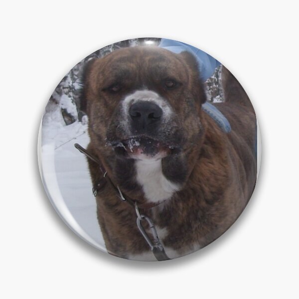 Item preview, Cute tiger dog in winter designed and sold by Siberian-me.