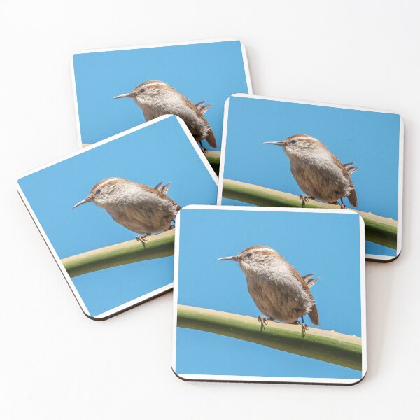 Item preview, Reyezuelo de Bewick (Thryomanes bewickii) en el Jardín Botánico de la Universidad de California designed and sold by BarryStock.