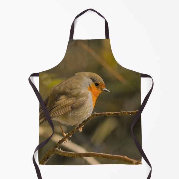 Item preview, Redebreast robin on a branch in the forest designed and sold by xophotography.