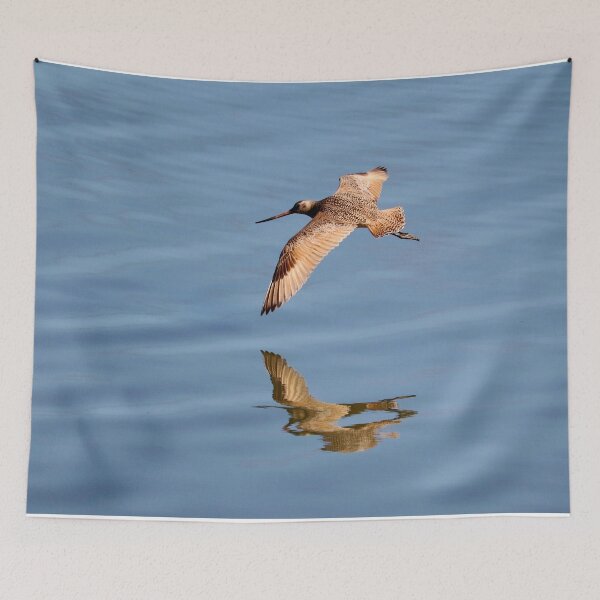 Item preview, Marbled Godwit in Flight designed and sold by KsbAesthetics.