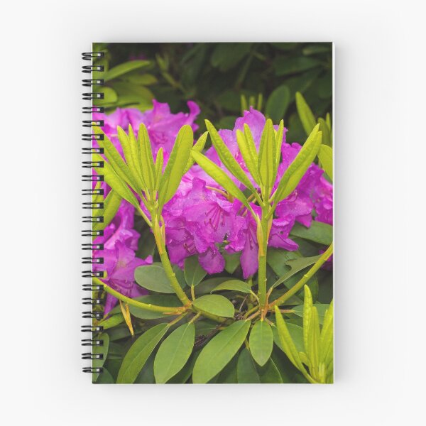 Artikelvorschau, Lila Rhododendron Blumen entworfen und verkauft von jojobob.
