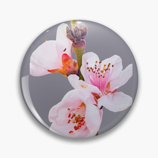 Item preview, Spring Flower Mandel Tree Flower designed and sold by Pankas.