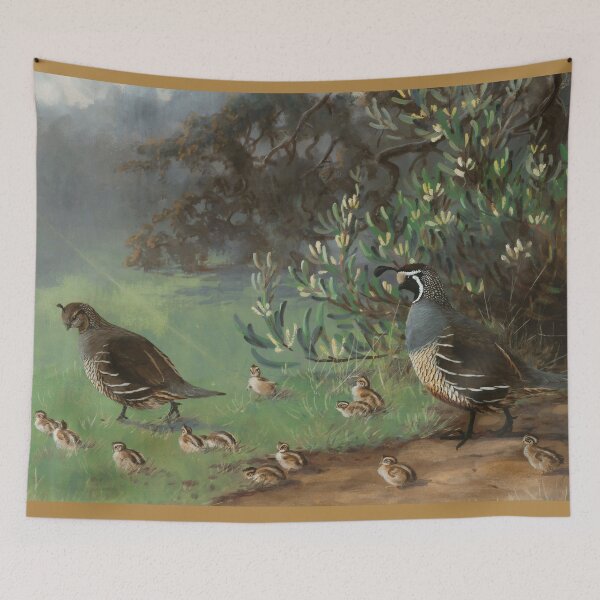 Item preview, California Quail designed and sold by linggalibrary.