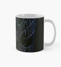 Morning Web on the Highway Mug