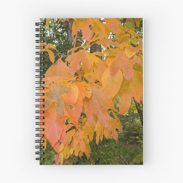 Aperçu de l'œuvre Feuilles de sassafras Orange Falls créée et vendue par Uluri.