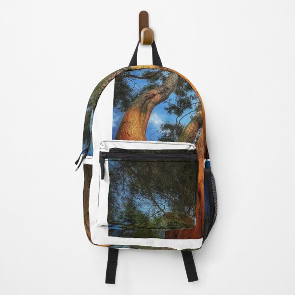 Item preview, Trunk designed and sold by Roberto Pagani.