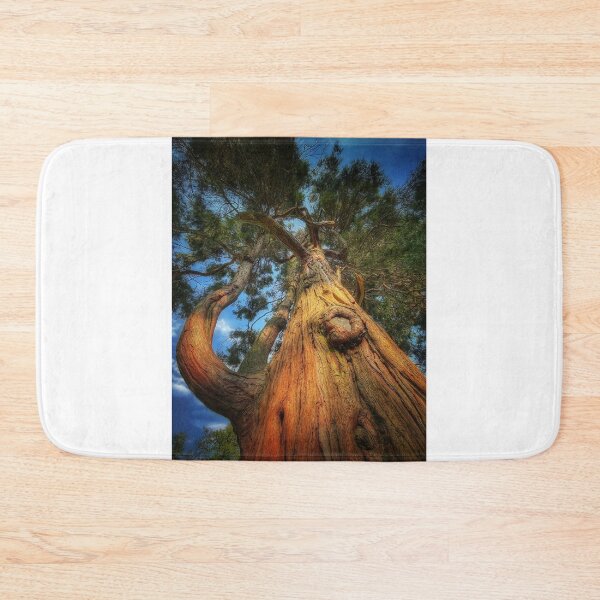 Item preview, Trunk designed and sold by Roberto Pagani.