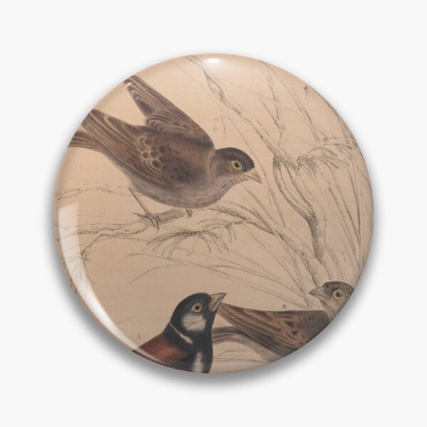 Item preview, killdeer designed and sold by AllPerfect.
