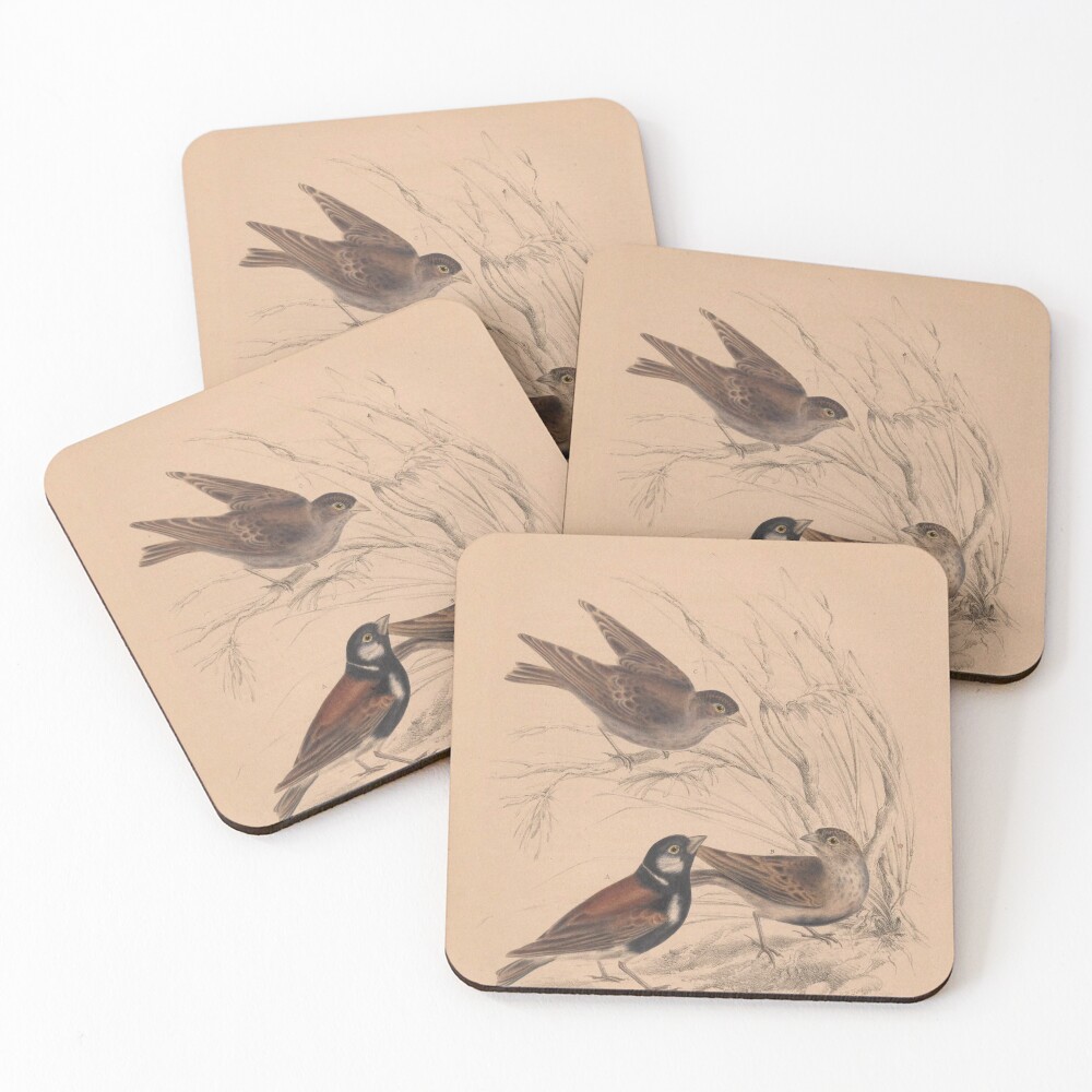 Item preview, Coasters (Set of 4) designed and sold by AllPerfect.