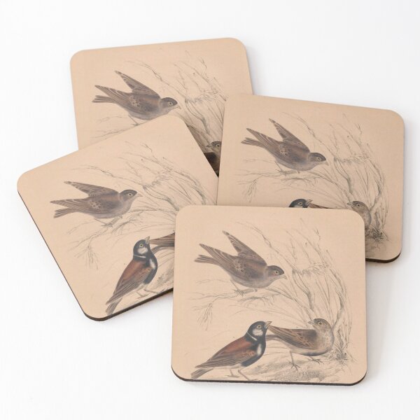 Item preview, killdeer designed and sold by AllPerfect.