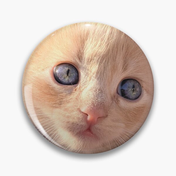 Item preview, Ginger ragdoll mainecoon kitten designed and sold by Fluffycat2020.