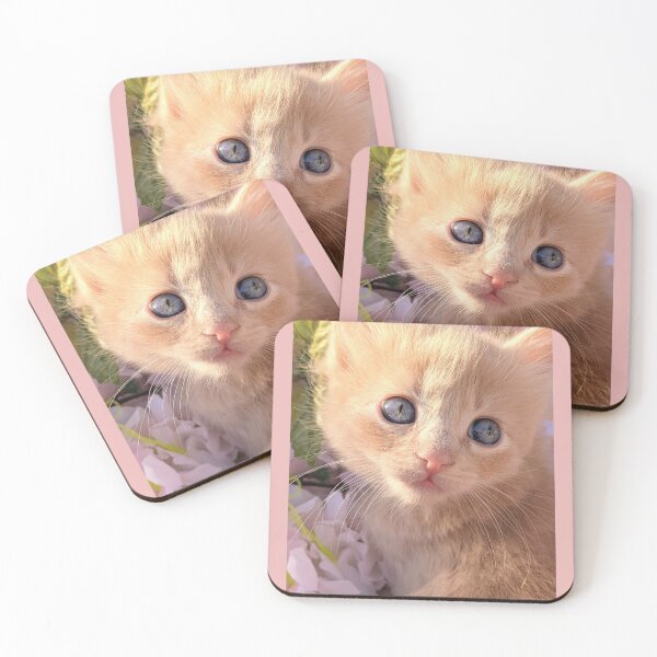 Item preview, Ginger ragdoll mainecoon kitten designed and sold by Fluffycat2020.