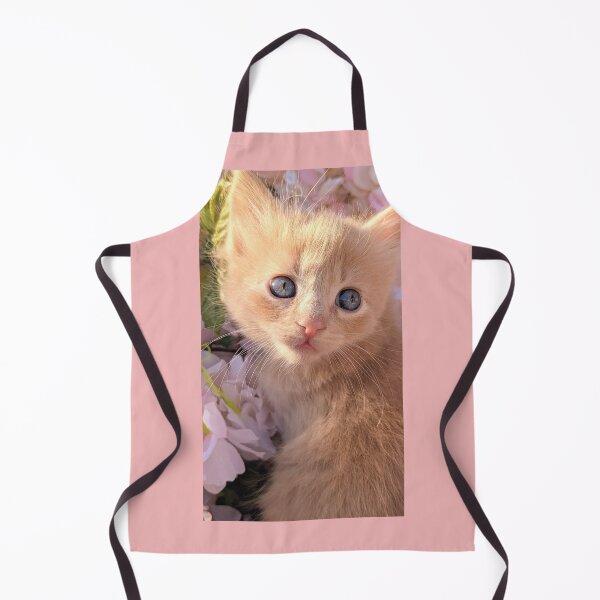 Item preview, Ginger ragdoll mainecoon kitten designed and sold by Fluffycat2020.