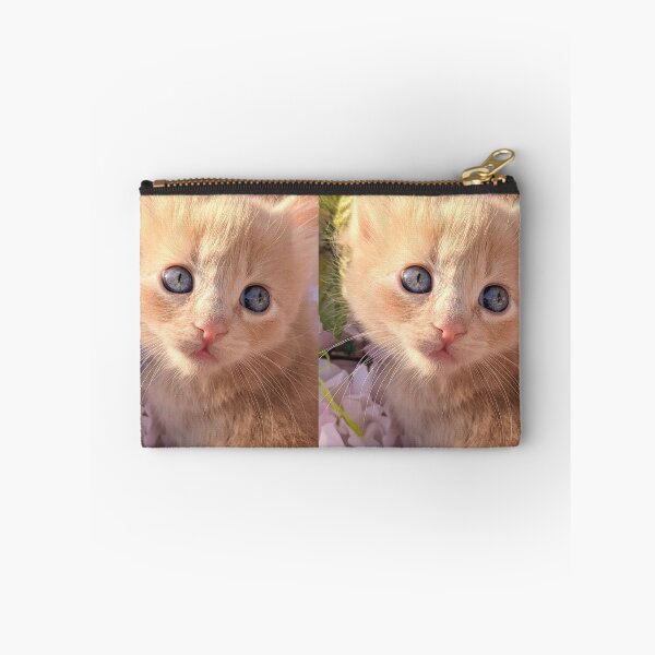 Item preview, Ginger ragdoll mainecoon kitten designed and sold by Fluffycat2020.