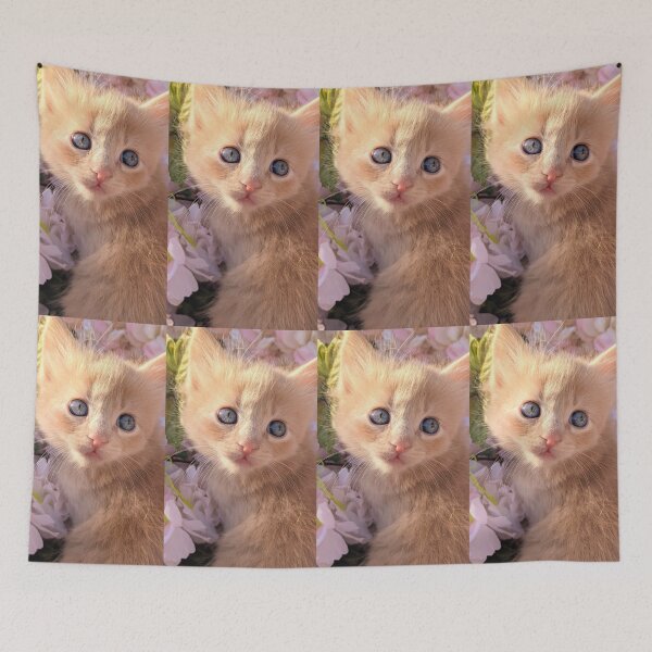 Item preview, Ginger ragdoll mainecoon kitten designed and sold by Fluffycat2020.